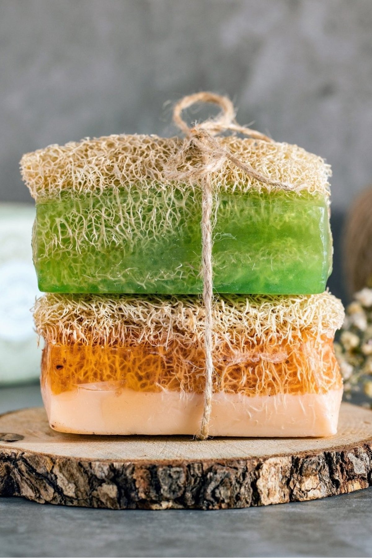 Aloe Vera Vegan Soap with Natural Loofah - Bar Soap