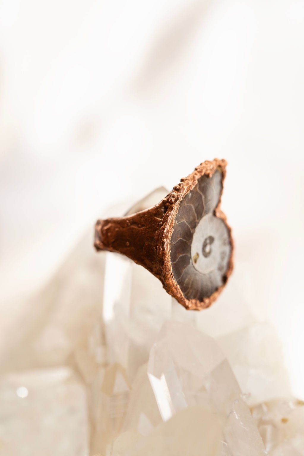 Ammonite Fossil Copper Ring - Rings