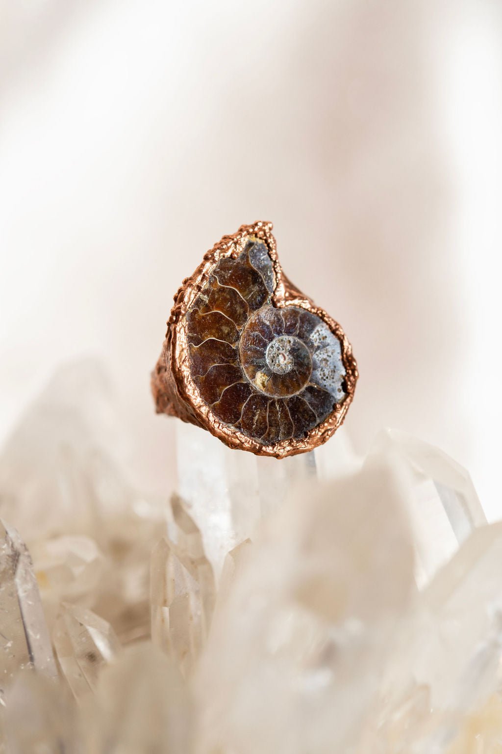 Ammonite Fossil Copper Ring - Rings
