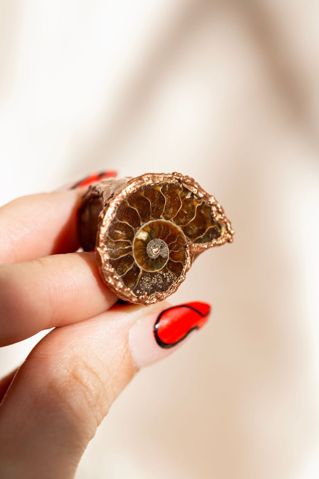 Ammonite Fossil Copper Ring - Rings