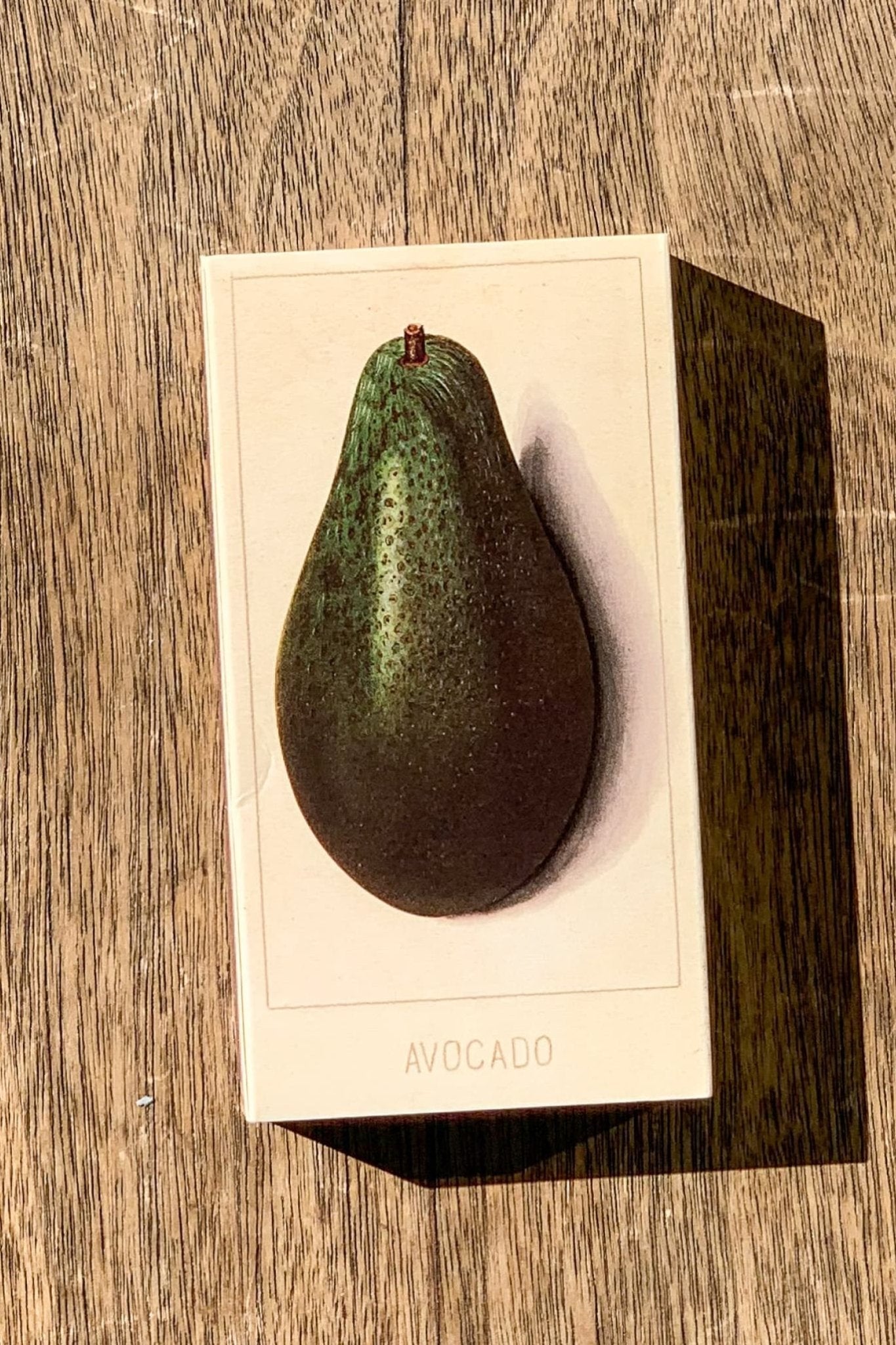 Avocado Matches - Matches