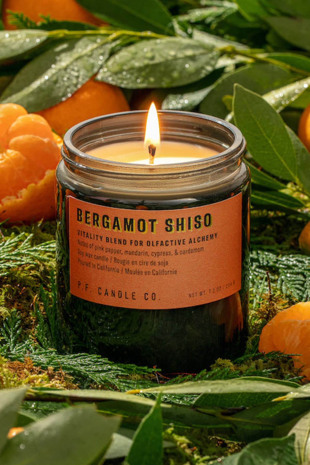 Bergamot Shiso Soy Candle (Vitality) - Candle