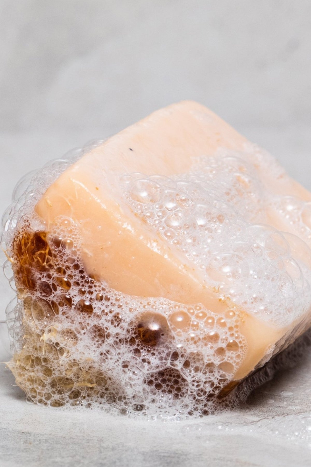 Donkey Milk and Honey Soap with Natural Loofah - Bar Soap