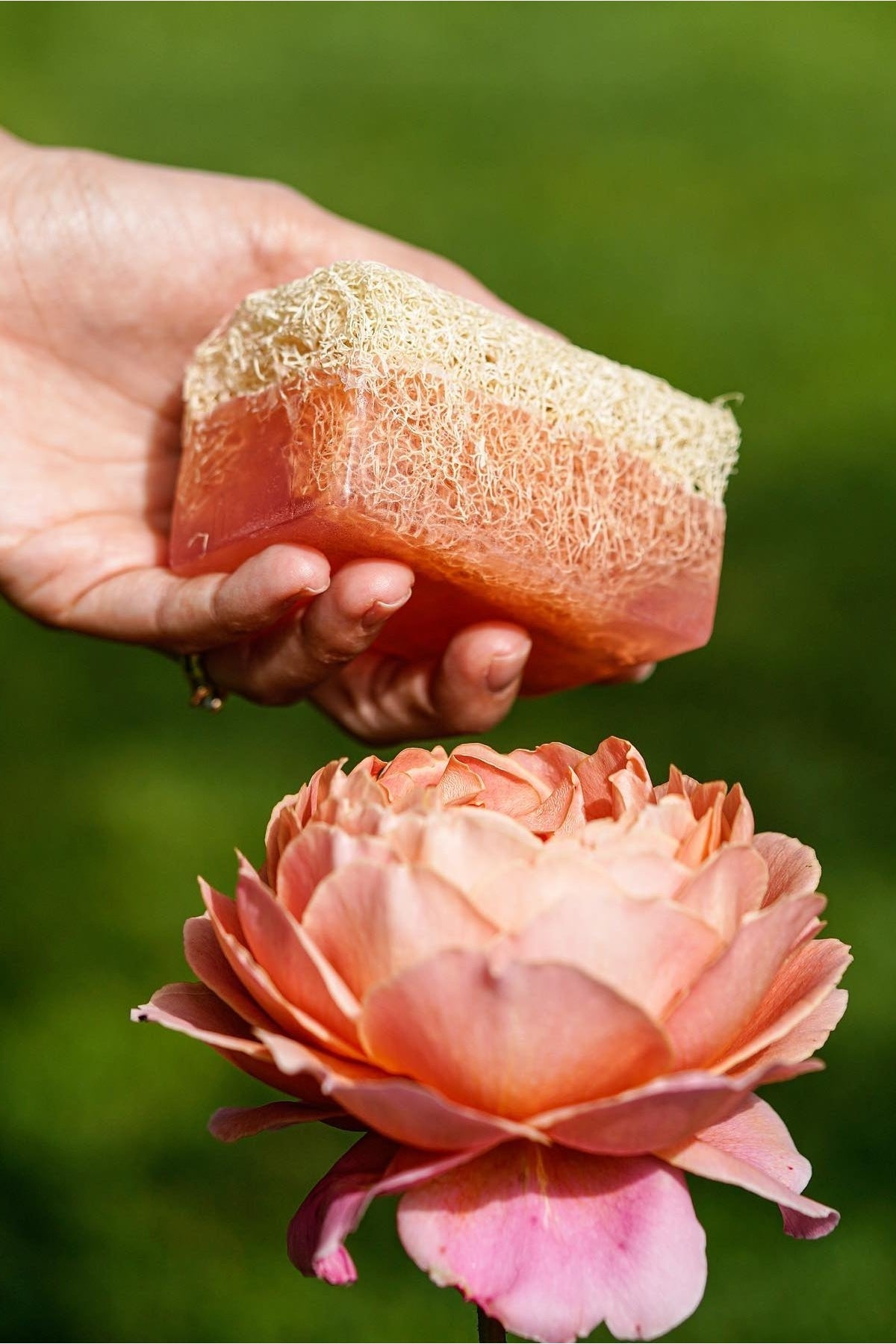 Rose Vegan Soap with Natural Loofah - Bar Soap
