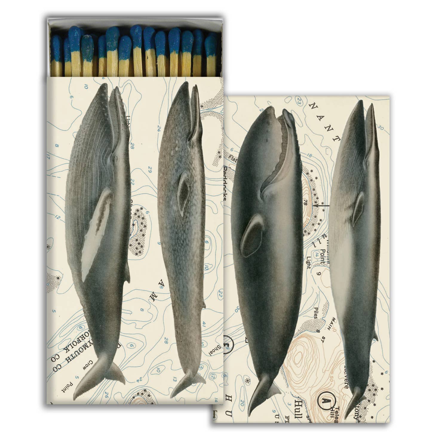 Whales Matches - Matches