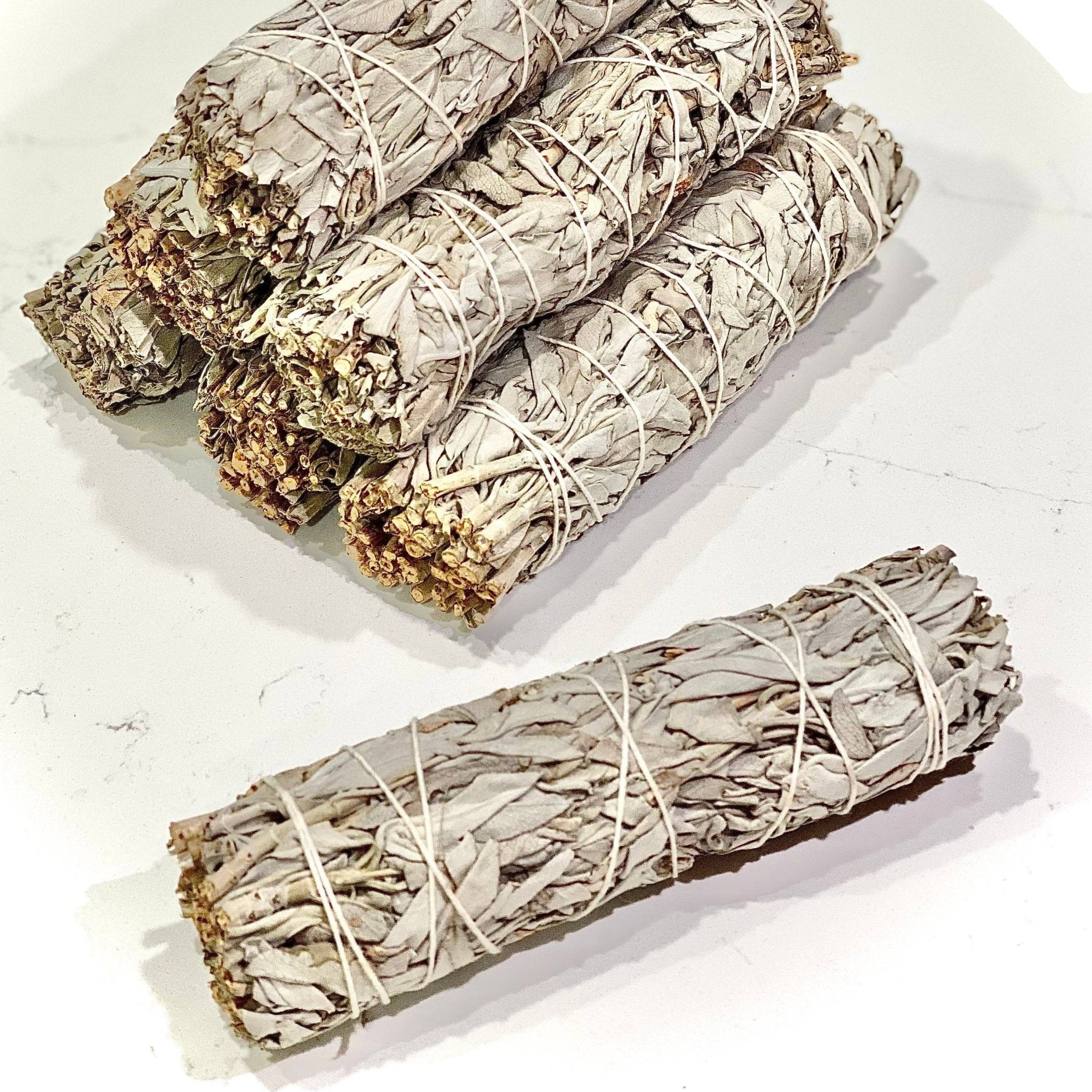 White Sage Bundles (7 inch) - Smudge