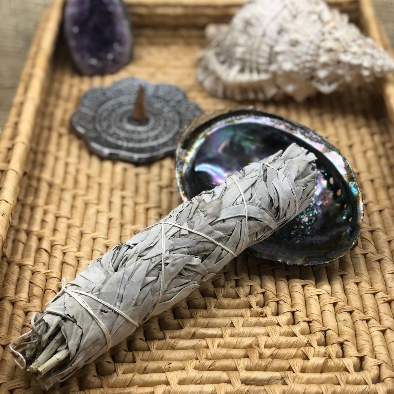 White Sage Smudge Bundle (9 inch) - Smudge