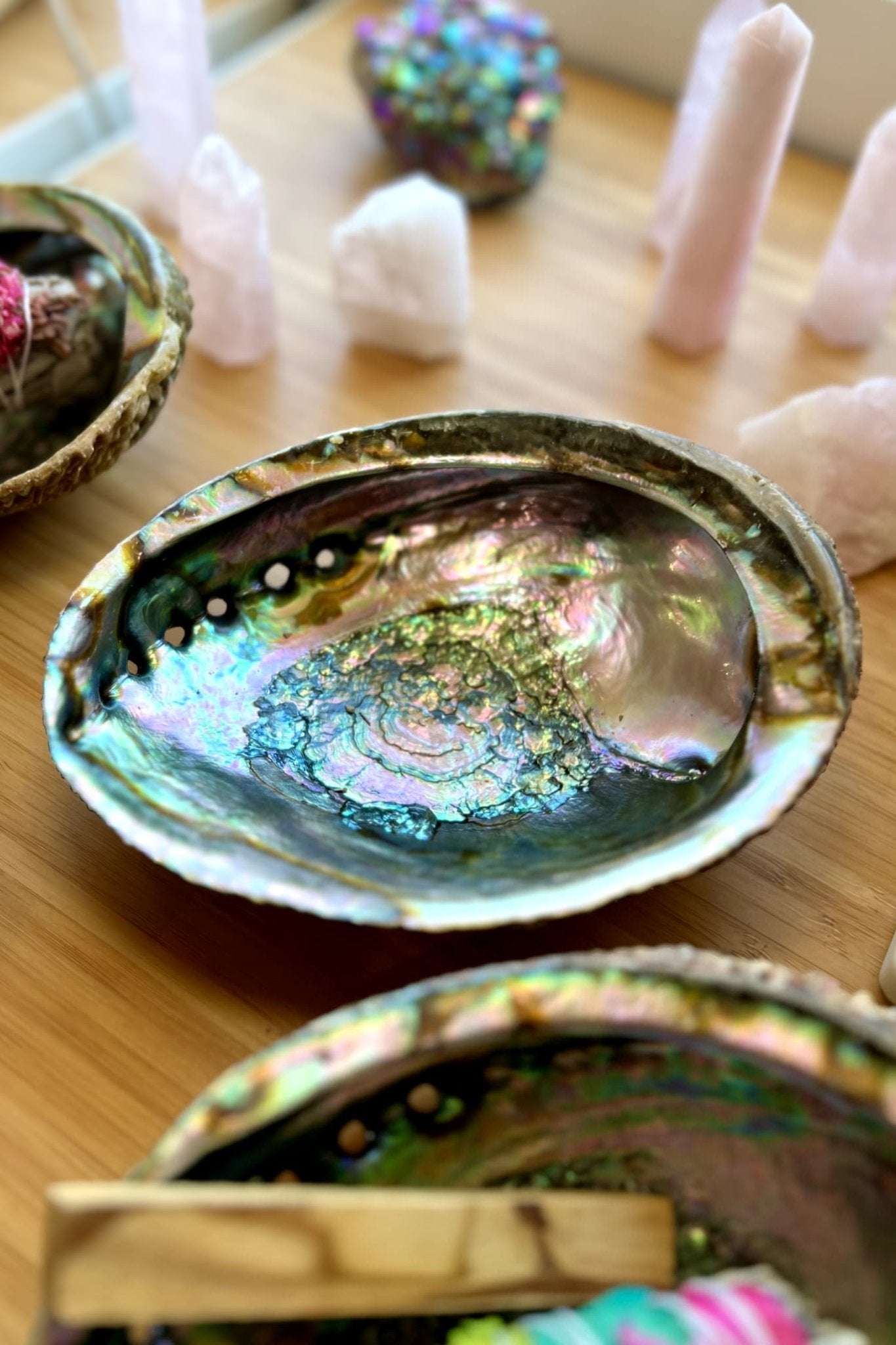 Abalone Shell Smudge Bowl - Medium - Seashell