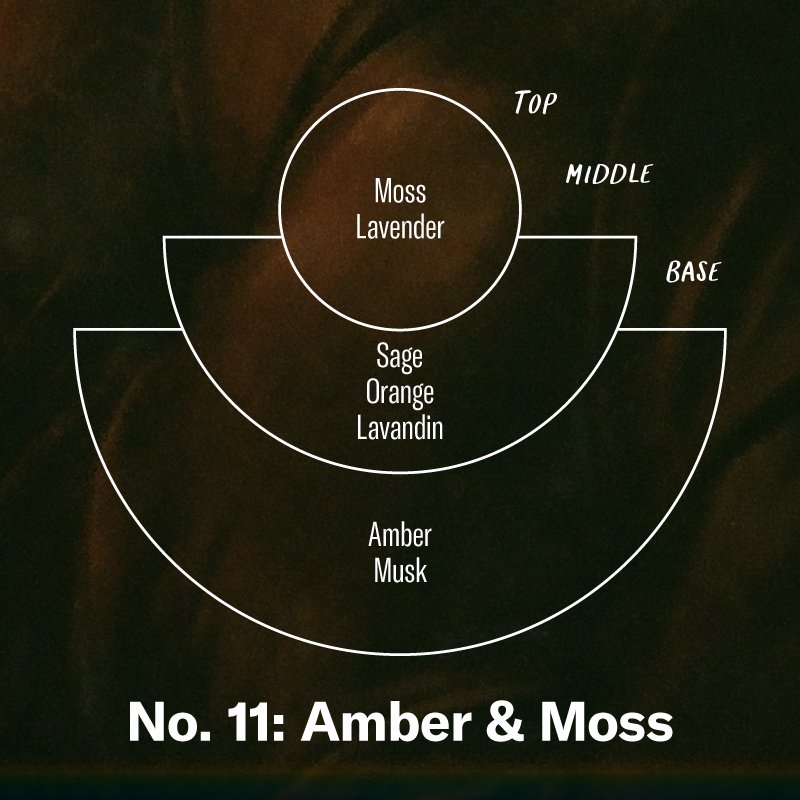 Amber & Moss Incense - Incense