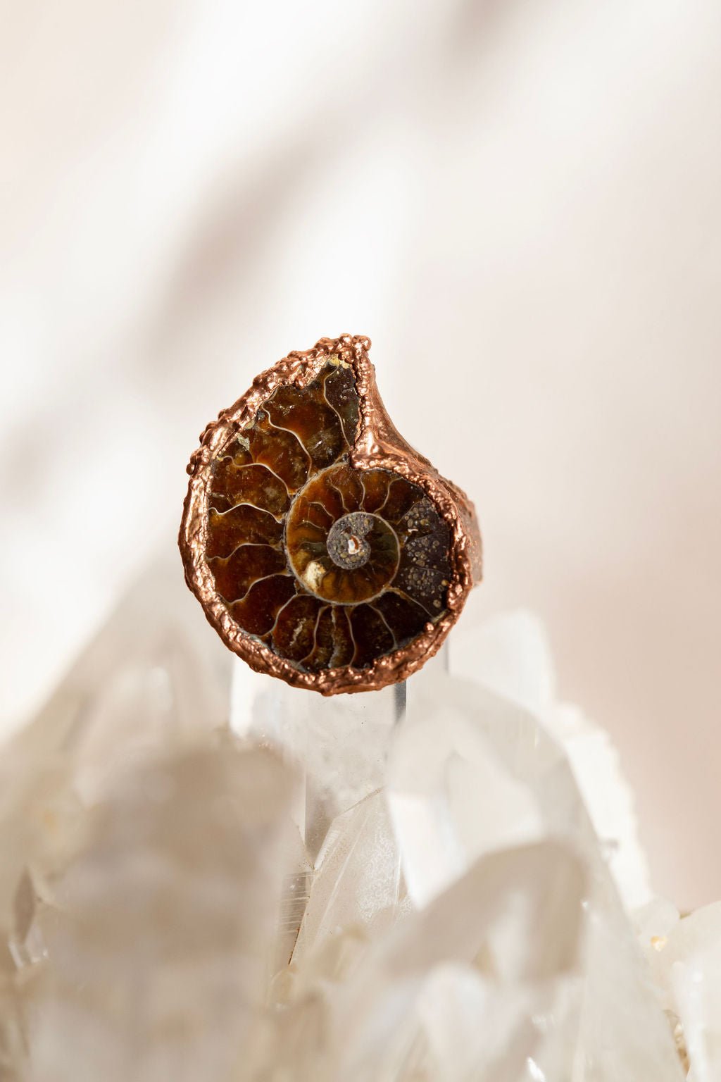 Ammonite Fossil Copper Ring - Rings