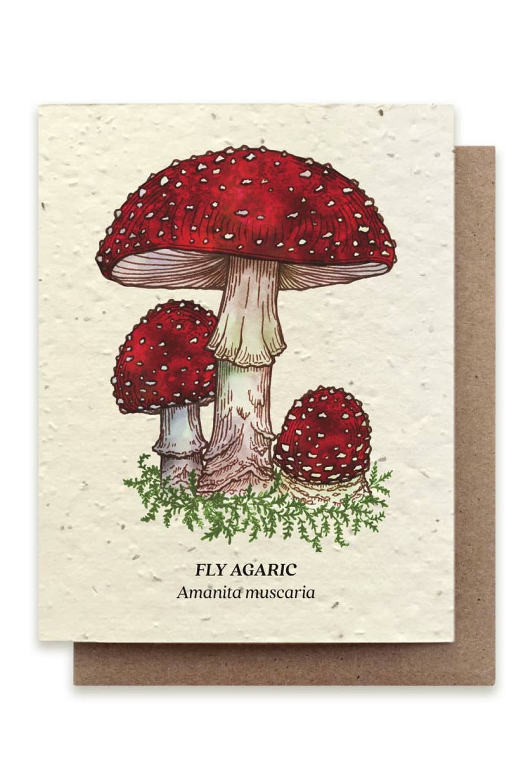 Fly Agaric Mushroom Plantable Wildflower Seed Card - Greeting & Note Cards