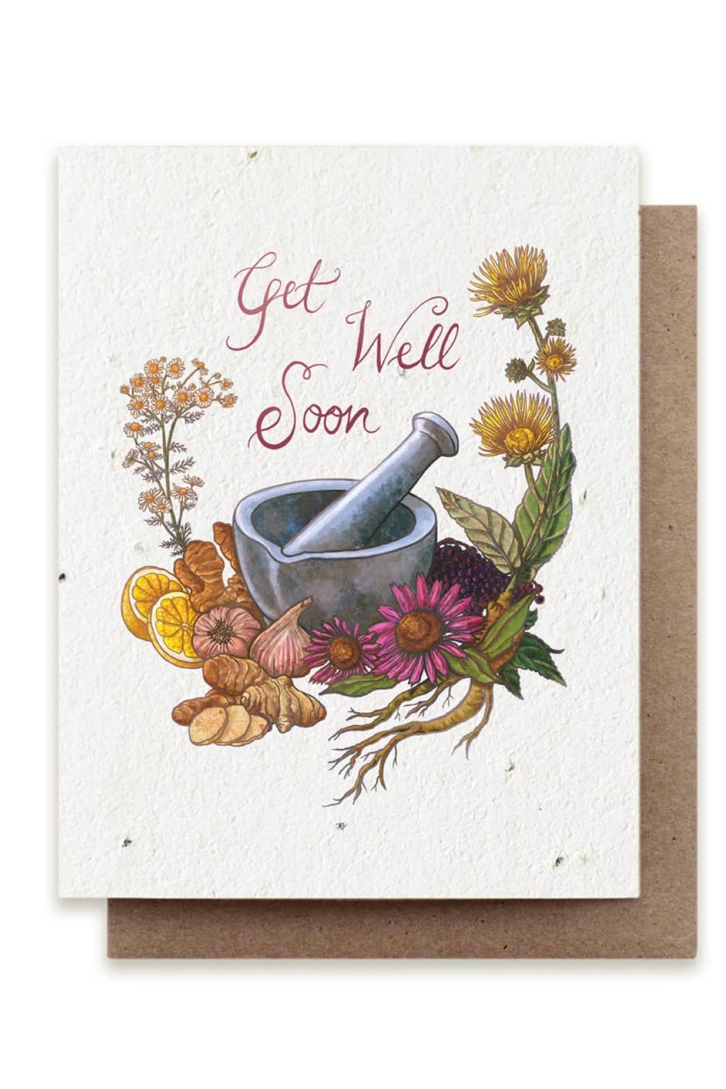 Get Well Soon Plantable Herb Seed Card - Greeting & Note Cards