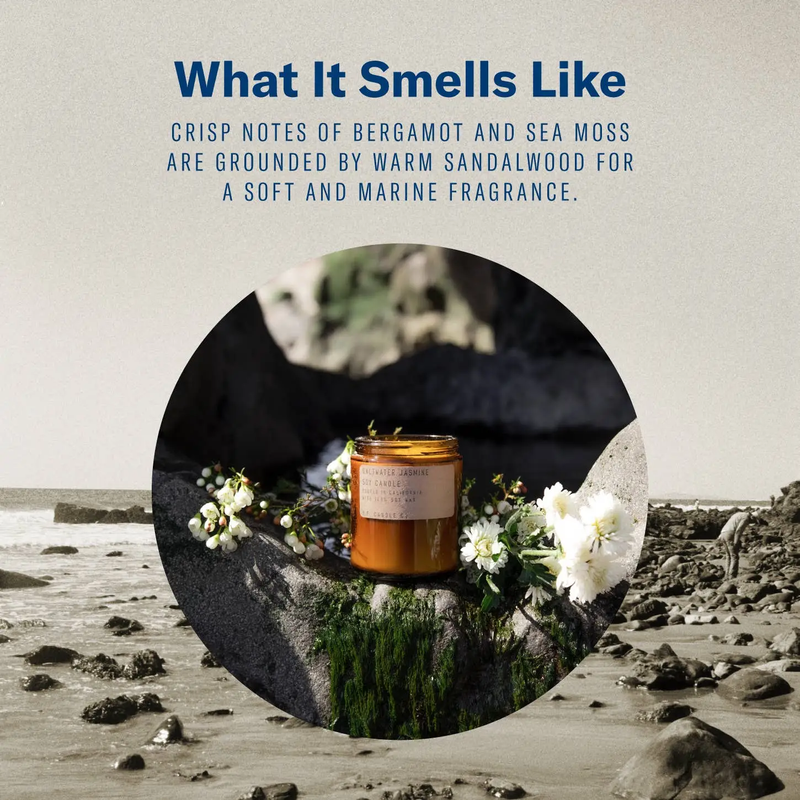 Saltwater Jasmine Soy Candle (7.2 oz)