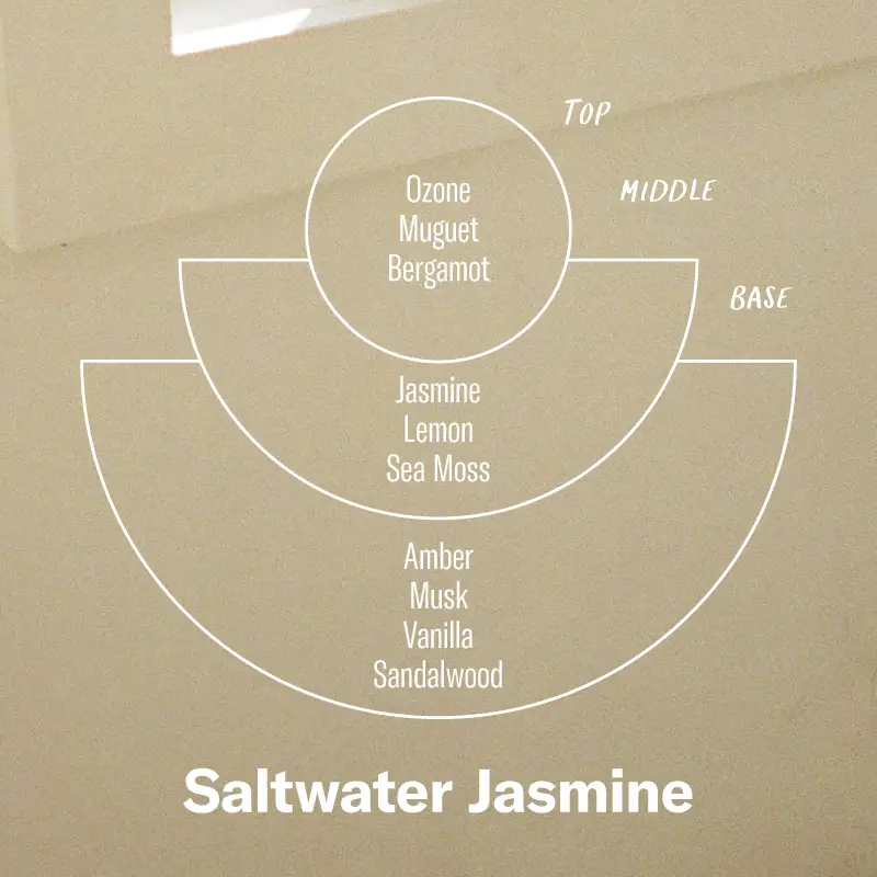 Saltwater Jasmine Soy Candle (7.2 oz)