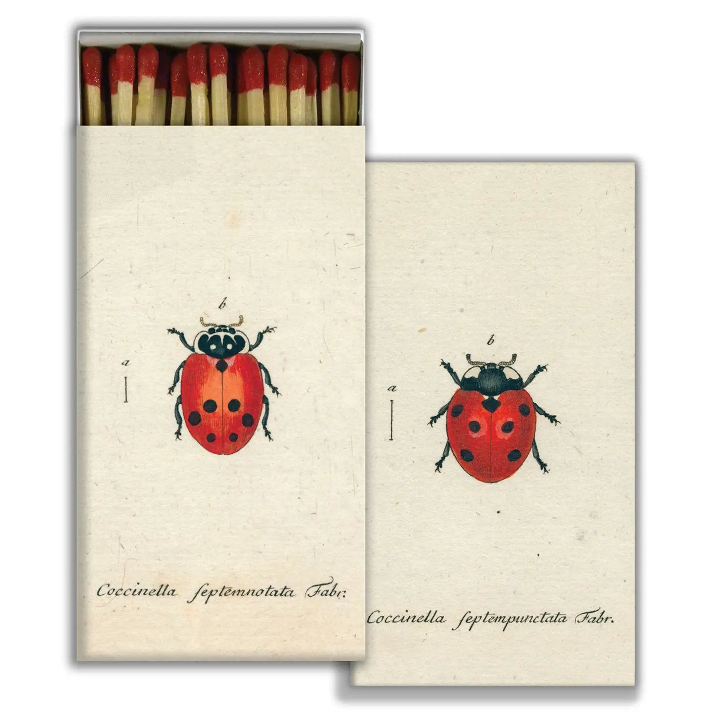 Lady Bug Matches - Matches