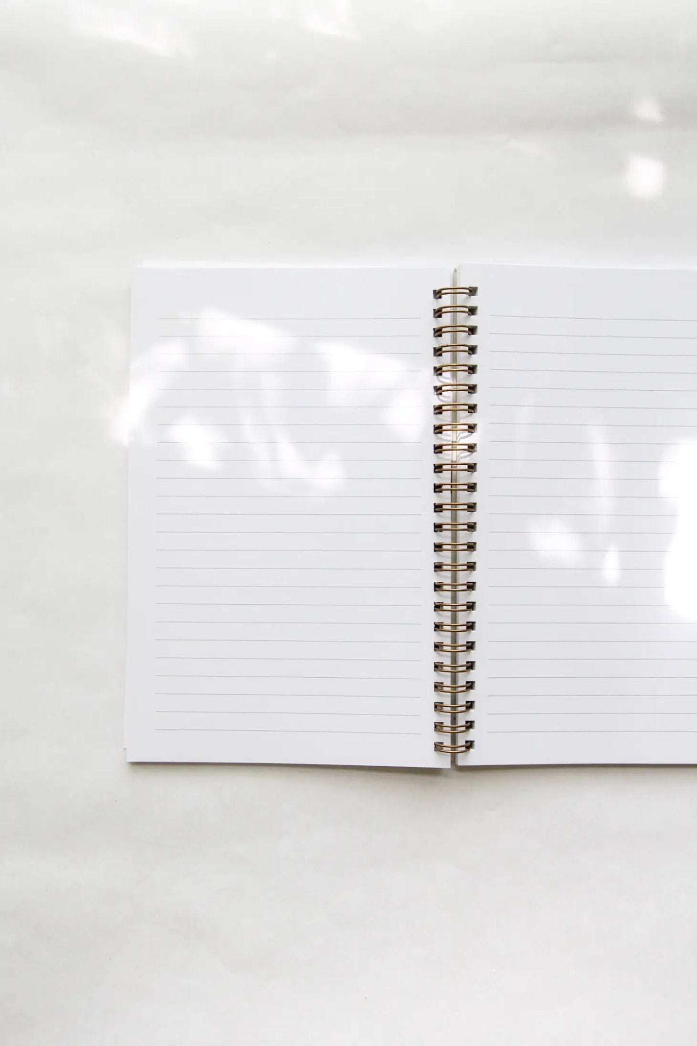 Monarch + Milkweed Spiral Bound Notebook - Notebooks & Notepads