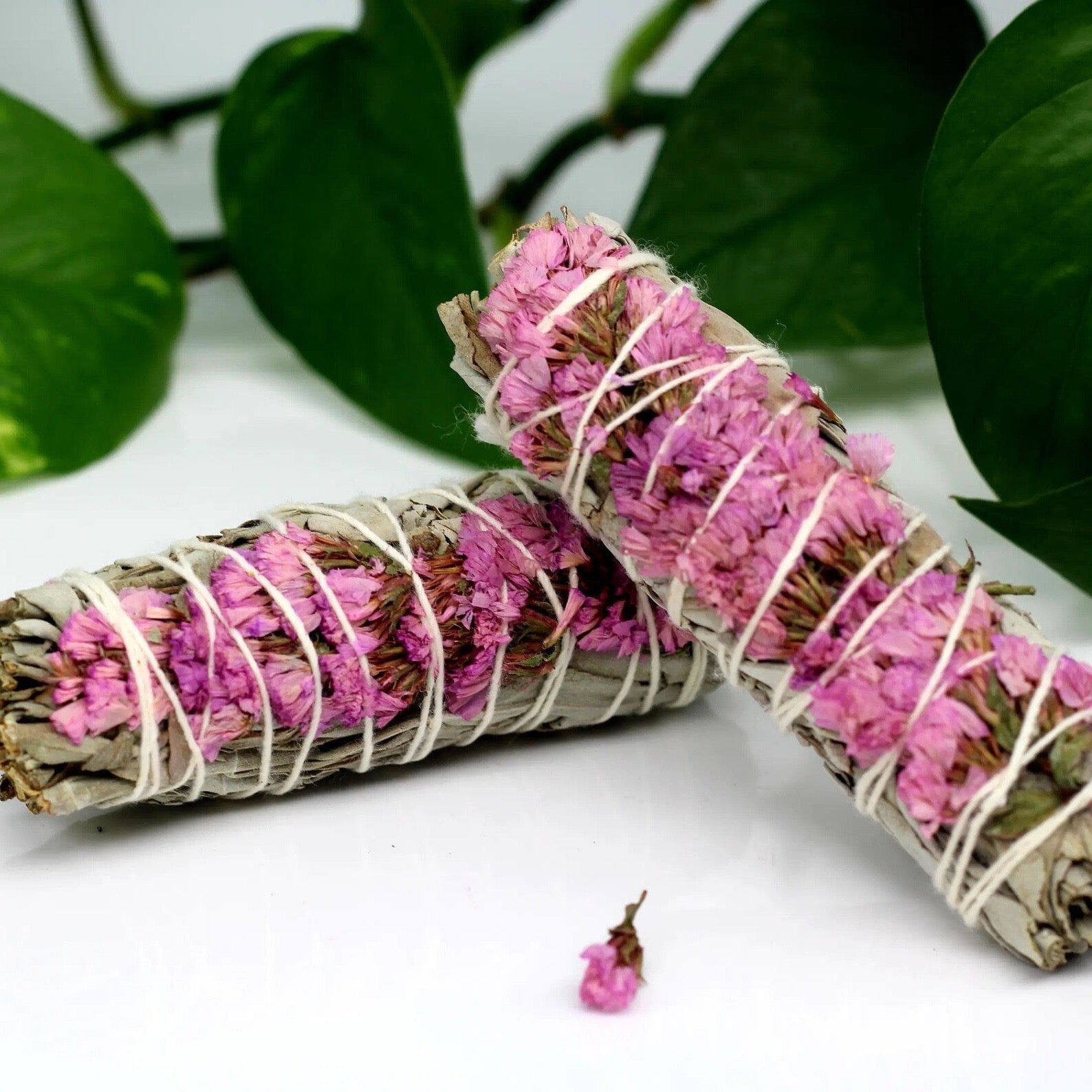 Pink Sinuata Flower with White Sage Smudge Bundle - Smudge