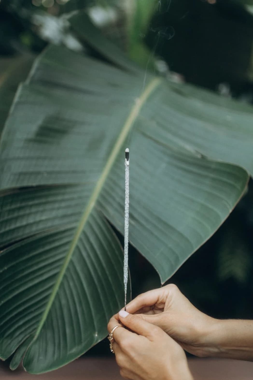 Pure White Mayan Copal Incense Sticks - Incense Stick