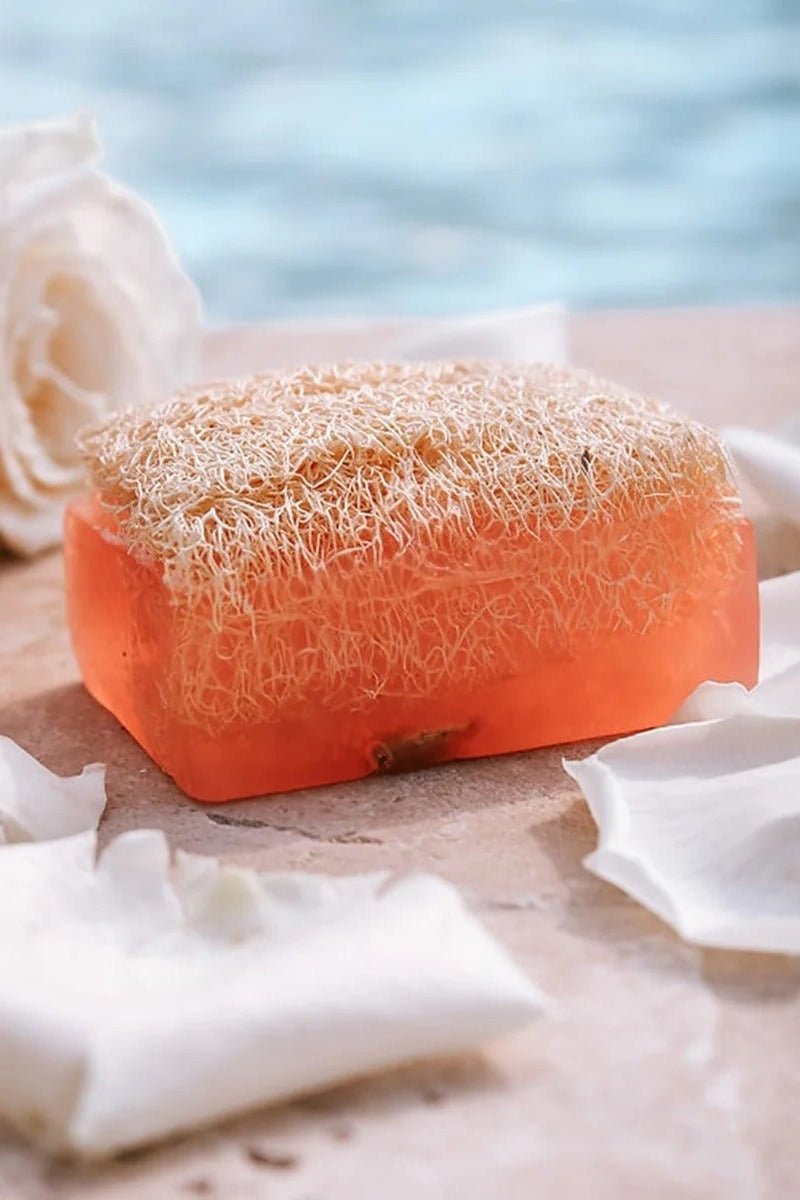 Rose Vegan Soap with Natural Loofah - Bar Soap
