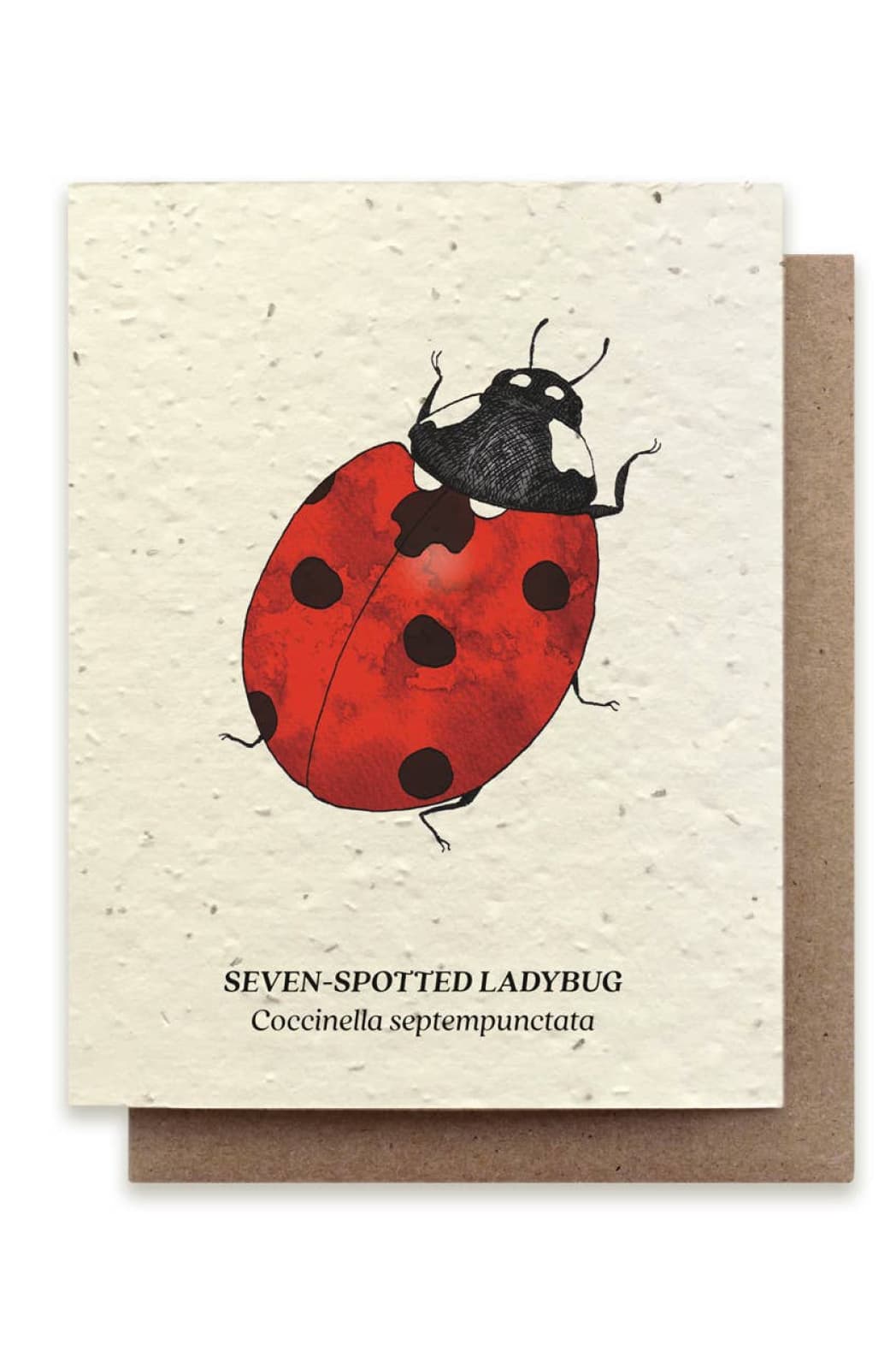 Seven-Spotted Ladybug Plantable Wildflower Seed Card - Greeting & Note Cards