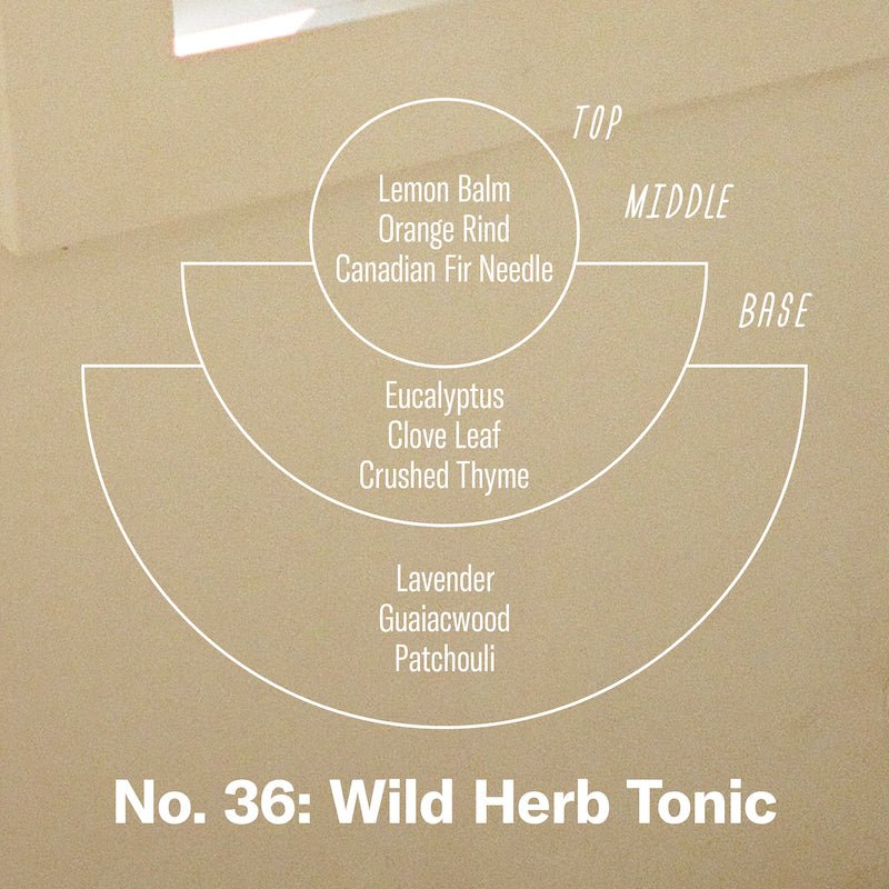 Wild Herb Tonic Soy Candle (7.2 oz) - Candle
